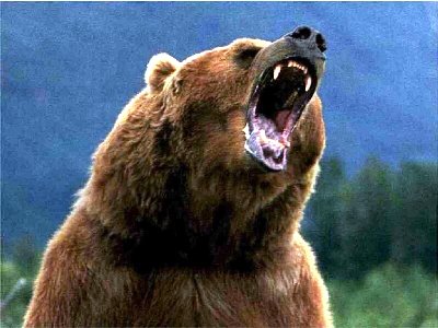 Il Grizzly
